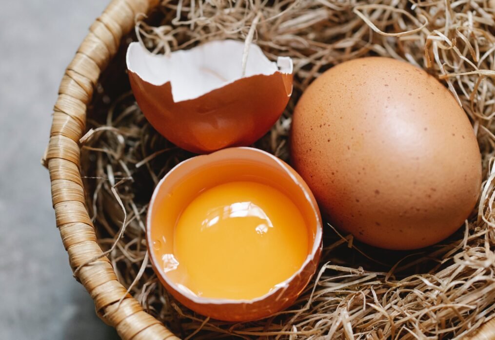 Mengulas Kritis Manfaat Bungkil Sawit Terhadap Kualitas Telur Ayam: Mitos atau Fakta?